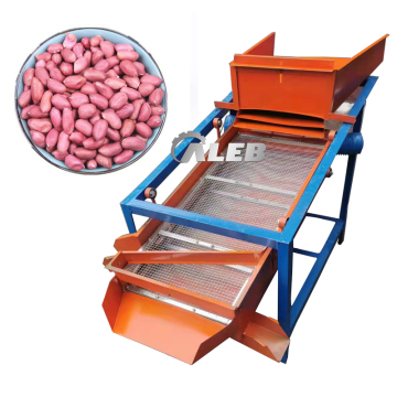 Machine di mais, mais, smistamento e classificazione di alta qualità: castagne, attrezzatura di classificazione dei girasole