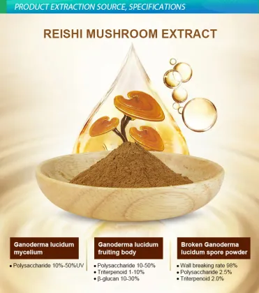 Reishi Mushroom Extract Ganoderma lucidum Polysaccharides