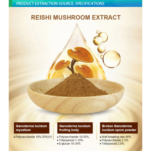 Extrait de champignons reishi Ganoderma lucidum polysaccharides