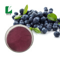 Water Soluble Blueberry Powder For Drink Beverage Juice
