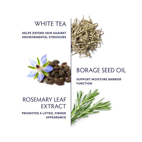 30% Polyphenols Camellia Sinensis White Tea Extract