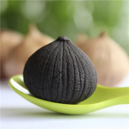 Limited-time Single Black Garlic