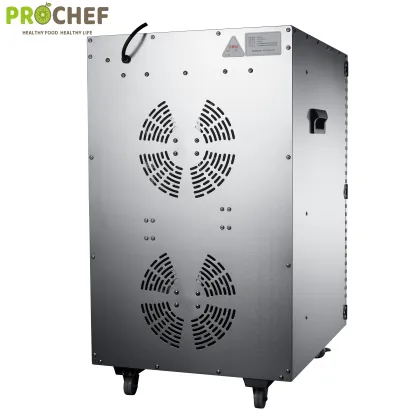China Factory Direct: Electric Meat and Fruit Dryer - Good Price Industrial Biltong Dryer