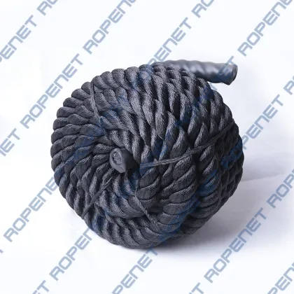 Twisted Battle Ropes Strength Training Rope