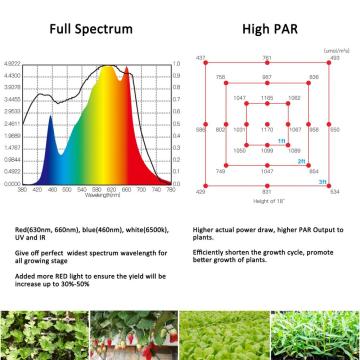 실내 수직 농업을위한 가벼운 풀 스펙트럼 성장
