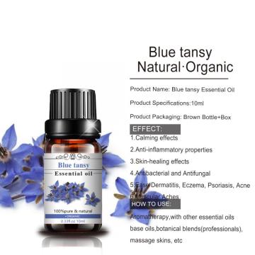 High Quality Blue Tansy Oil for Skin Care