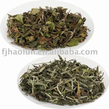 White Peony (Bai Mu Dan) - White Tea