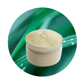 Strong Base Anion Ion Exchange Resin for Biodiesel Dry Cleaning