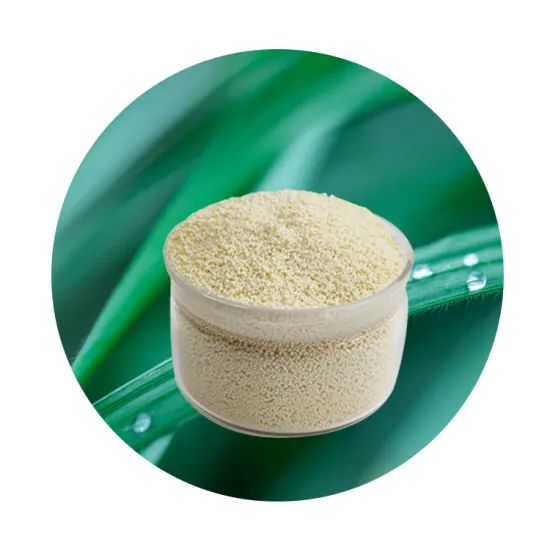 Strong Base Anion Ion Exchange Resin for Biodiesel Dry Cleaning