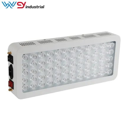 300W Led Therapy Lamp for Skin Beauty