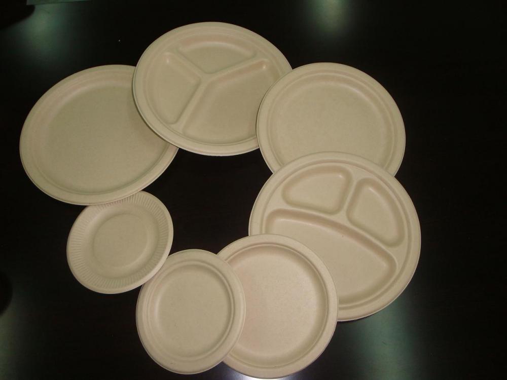 Bagasse Compostable Cutlery