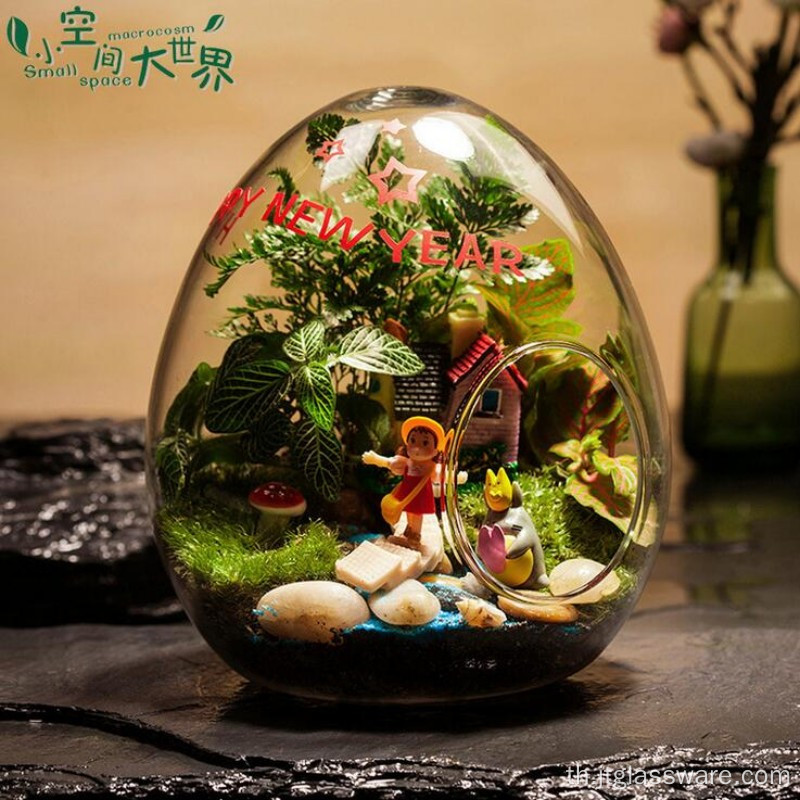 กระจก Terrarium สำหรับ Succulents