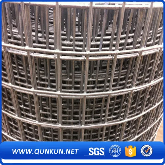 1/4 inch galvanized welded wire mesh