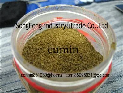 cumin seeds,cumin, fennel,jeera seeds