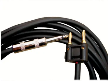 Speaker Cable 