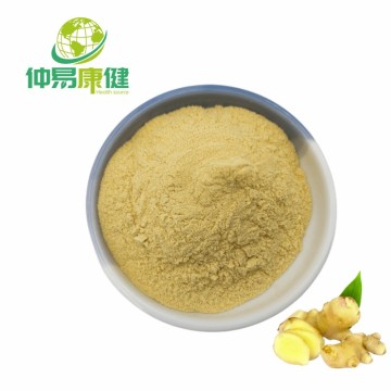 استخراج جذر الزنجبيل Gingerol 10 ٪ HPLC مسحوق الزنجبيل