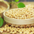 First-rate Nourishing delicious harmless Yellow Soybeans