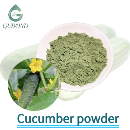 Cucumber Vegetable Powder for Food Skin Care Applications