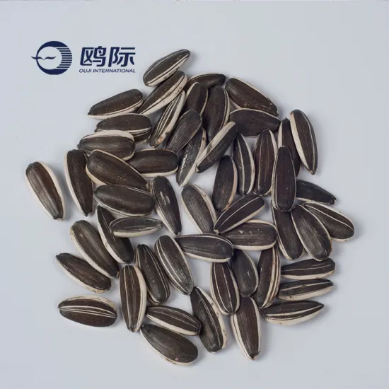 bayannaoer in chinese non gmo high quality sunflower seeds in shell