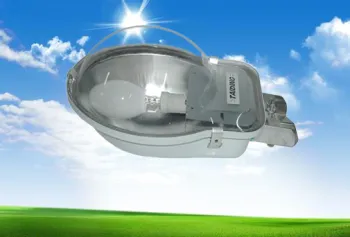 professional manufacturers for new Quality priority in rural street lamp
