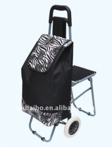 grocery shopping carts trolley black