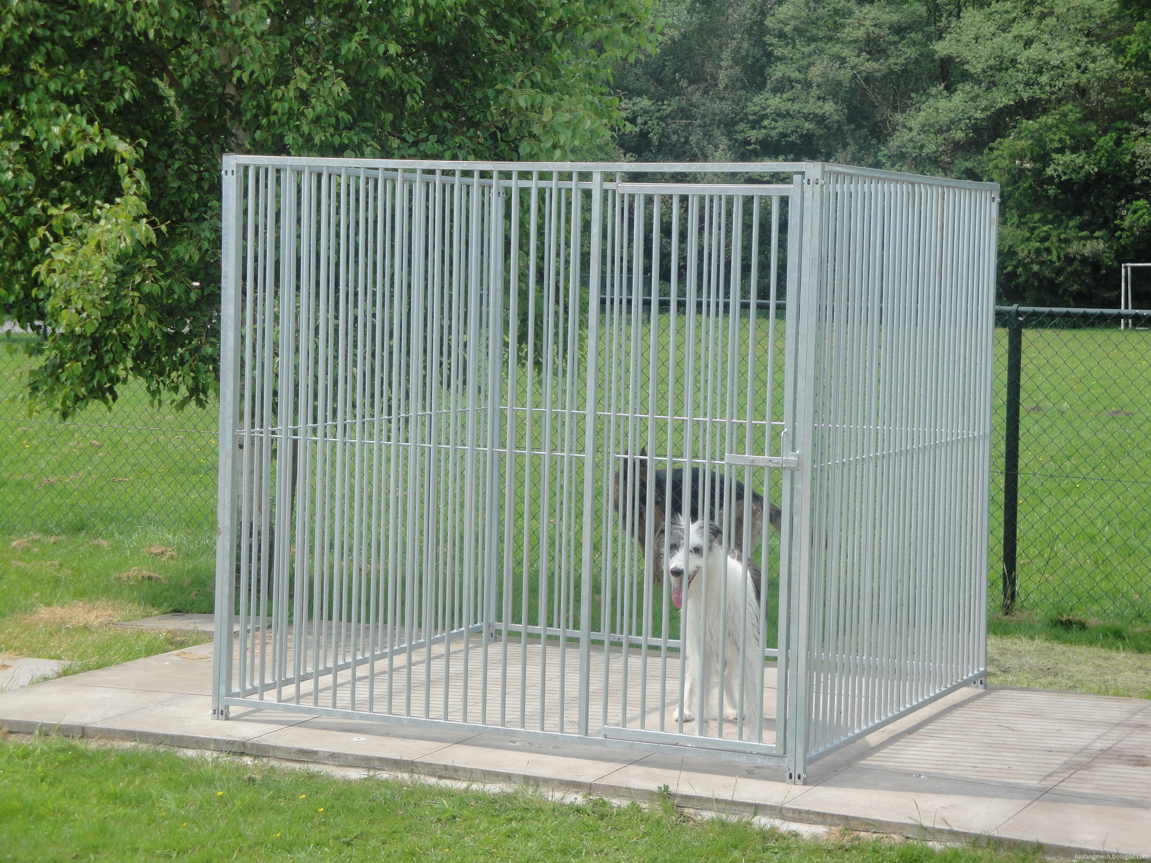 2017 newest product kennel fencing