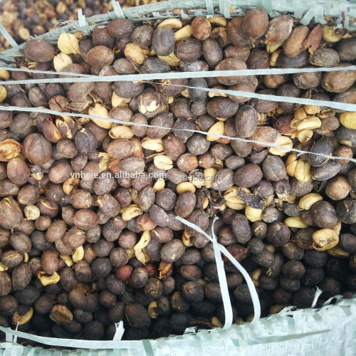 Chinese black coffee with shell coffee