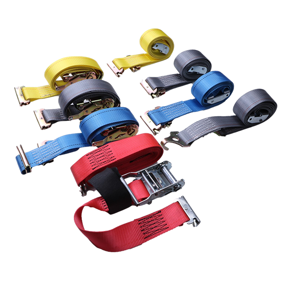 logistic strap2