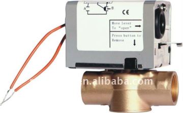 electric valves