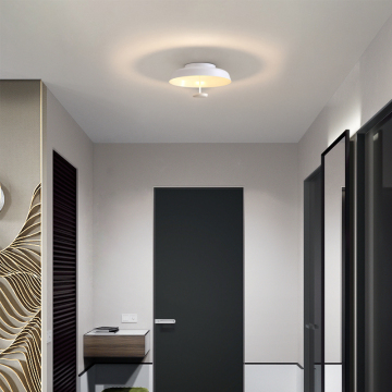 Moderne stijl 10W Wit indoor huisdecoratief LED -plafondlicht