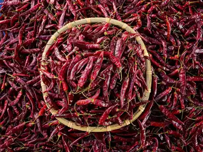 Carefully select high quality Dried chili Pod Pepper