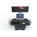 Doppler Ultrasound Diagnostic Instrument Hospital Trolley Color Doppler Ultrasound System For Carotid Supplier