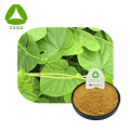 Tinospora Extract Powder Natural Antioxidants Herbal