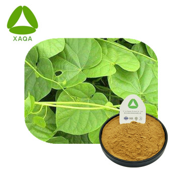 Tinospora Extract Powder Natural Antioxidanten Kruiden