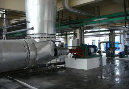 ZW Circulation Elbow Pump