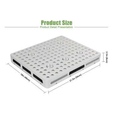 USA Fast Shipping 3000W COB Grow Light 6500K