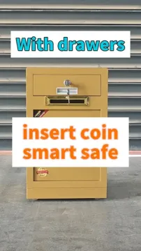 Fireproof Money Safe with Organizer Drawer and Coin Slot
