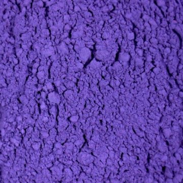 Holi Couleur Poudre Violet Couleur Festival Couleurs