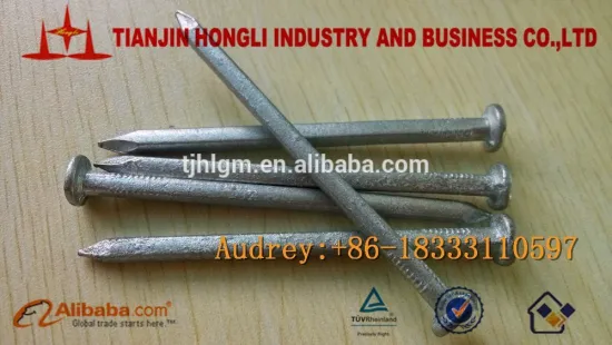 H.D.G Square boat nails from Tianjin Hongli