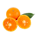 میوه تازه مرکبات ماندارین اورا
