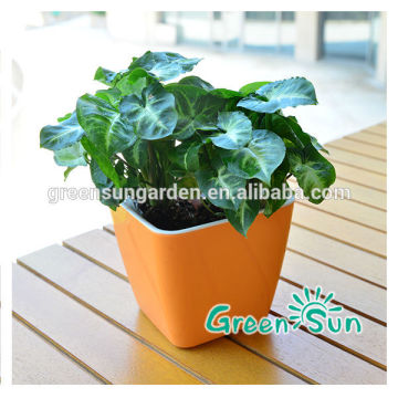 flower pots, plastic flower pots, best selling flower pots