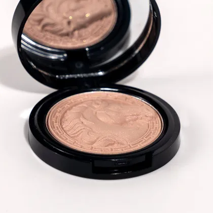 Lonely Animal Shape Powder Highlighter