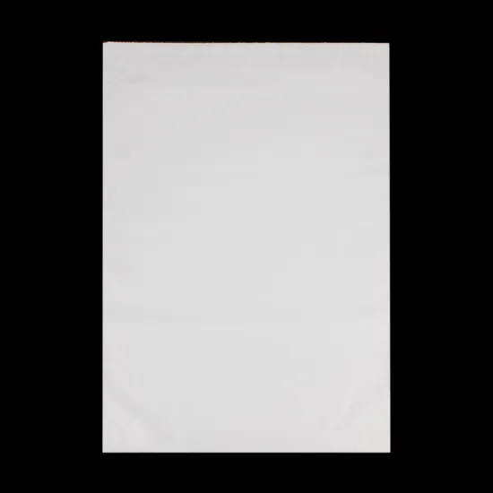 Non Printing White Colour Express Delivery Bag