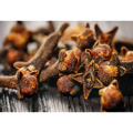 Plant Extract Clove Extract Syzygium Aromaticum Extract Fructus Caryophylli Flos Caryophylli Extract