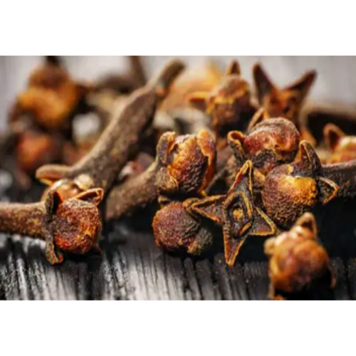 Plant Extract Clove Extract Syzygium Aromaticum Extract Fructus Caryophylli Flos Caryophylli Extract