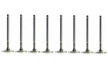 Truck Diesel Engine Intake Valve