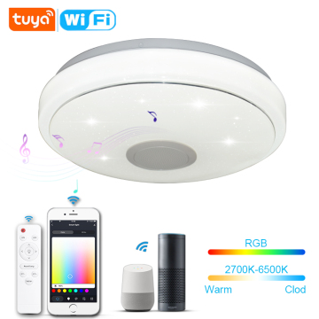 Yatak odalarında ve banyolarda LED tavan ışıkları için google kontrollü wifi ses uygulaması