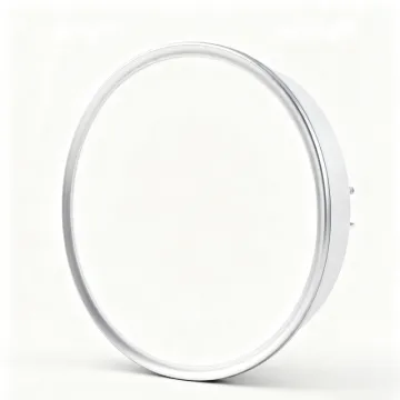 Ceiling Light with Adjustable Brightness Setting