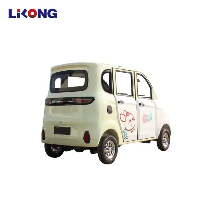 2024 Pure Electric EV Mini Small Car