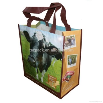 China Wholesale Pp Woven Bag, Laminated Shopping Bag, Grocery Tote Bag